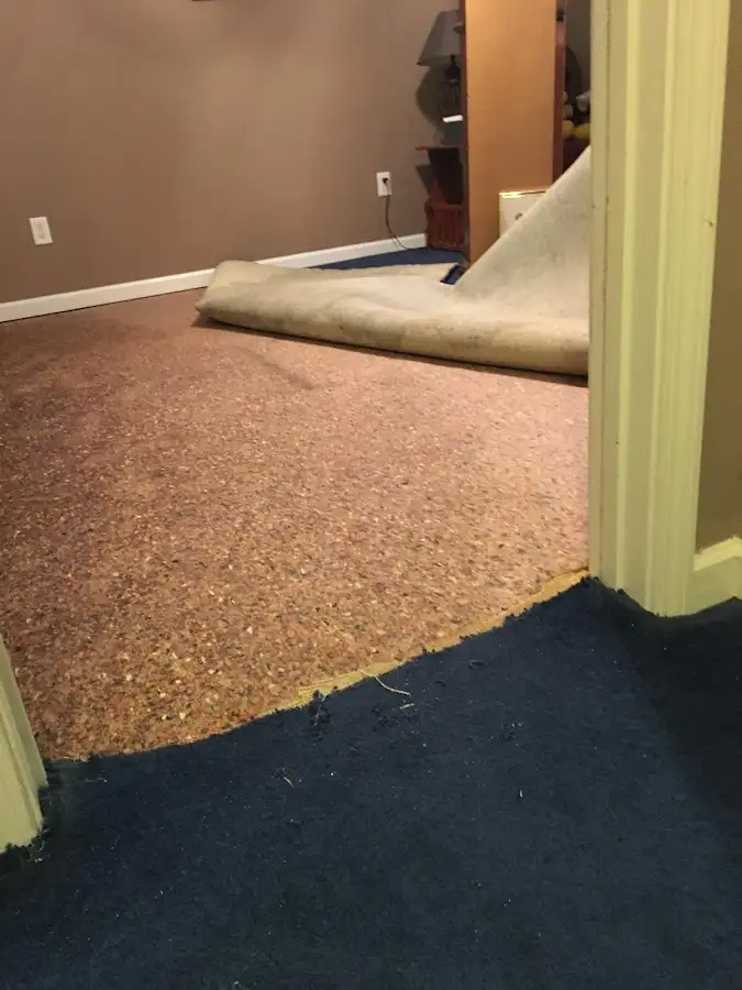 Carpet pad removal revealing water damage during Water Mitigation Services in Edinburg