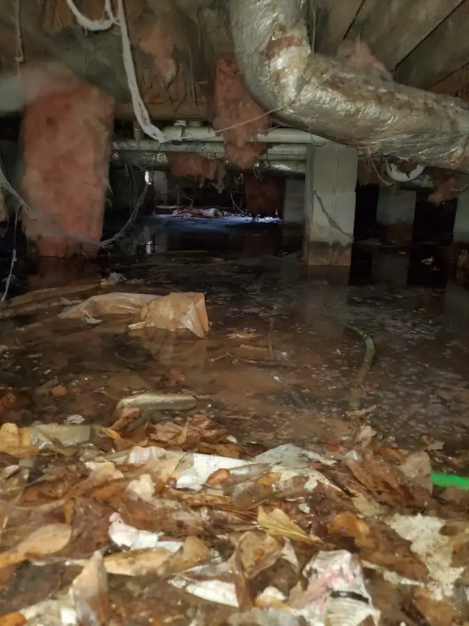 Crawl space flood assessment for Leak Detection & Repair in Edinburg